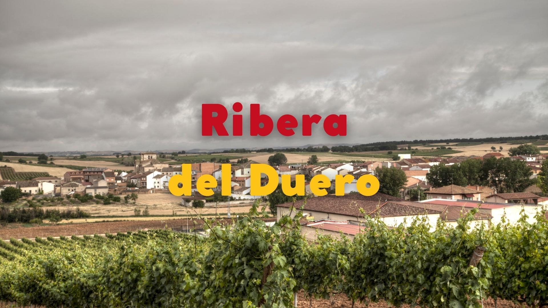 Ribera Del Duero: High and Mighty Altitude Wines with Jeni Wilson