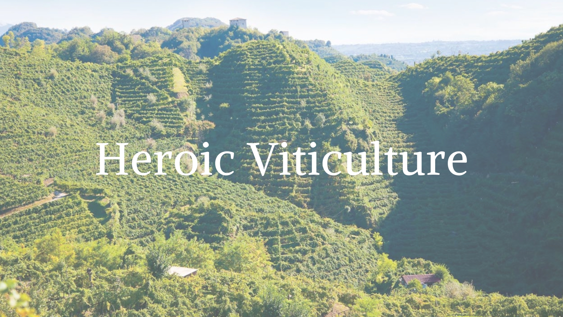 Heroic Viticulture: Europe&#039;s Most Dramatic Vineyards with Tanya Morning Star