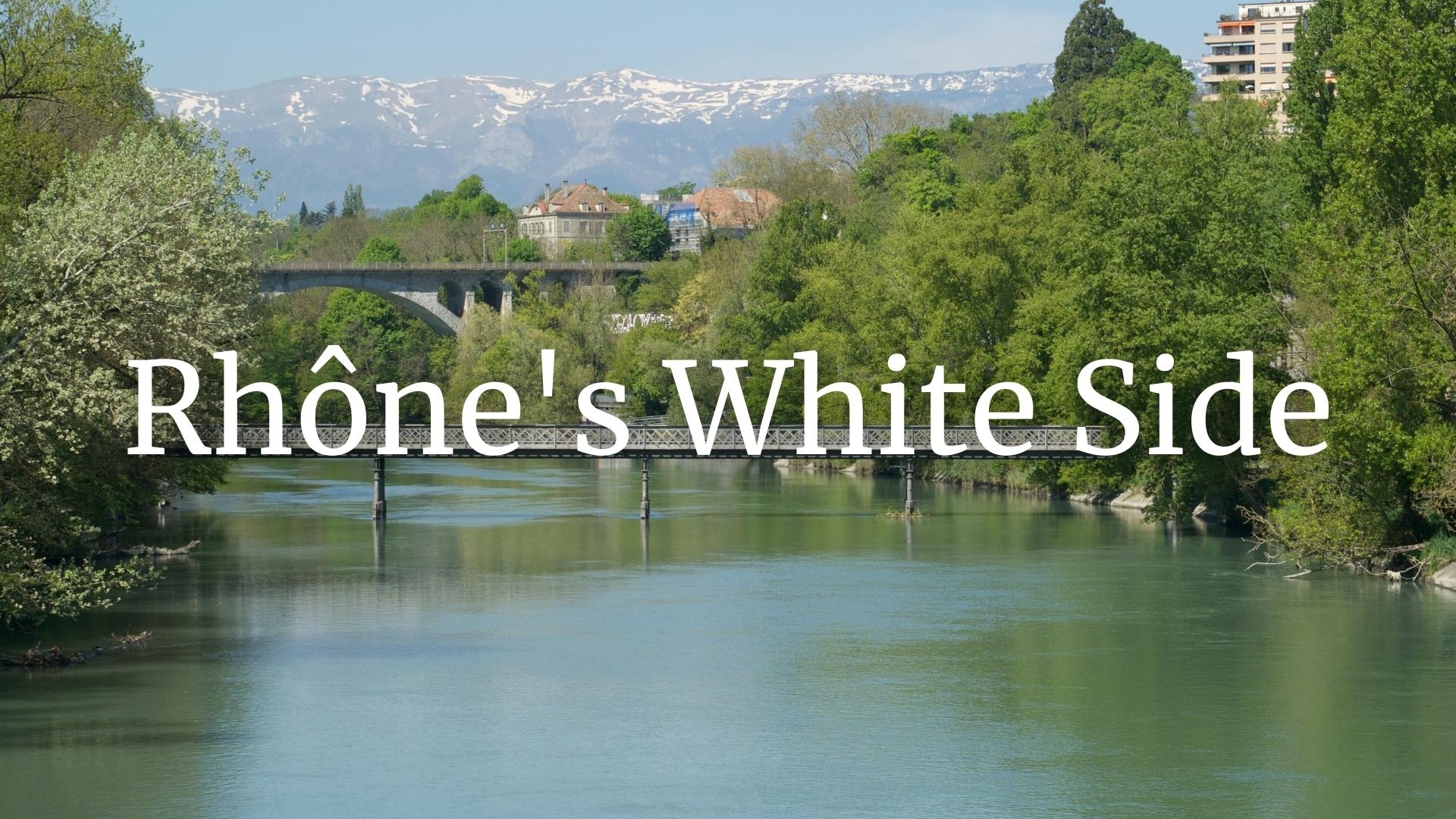 The White Side of the Rhône with Matt Walls