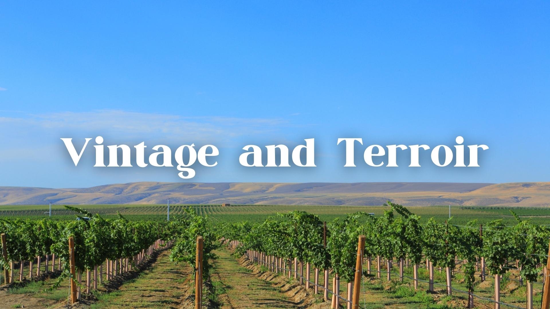 Bordeaux Vintage vs. Bordeaux Terroir with Dewey Markham, Jr.