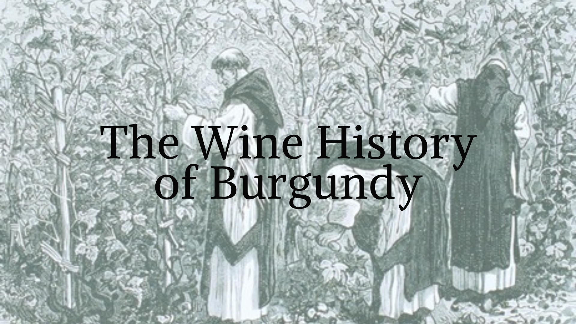 The Wine History of Bourgogne with Tanya Morning Star