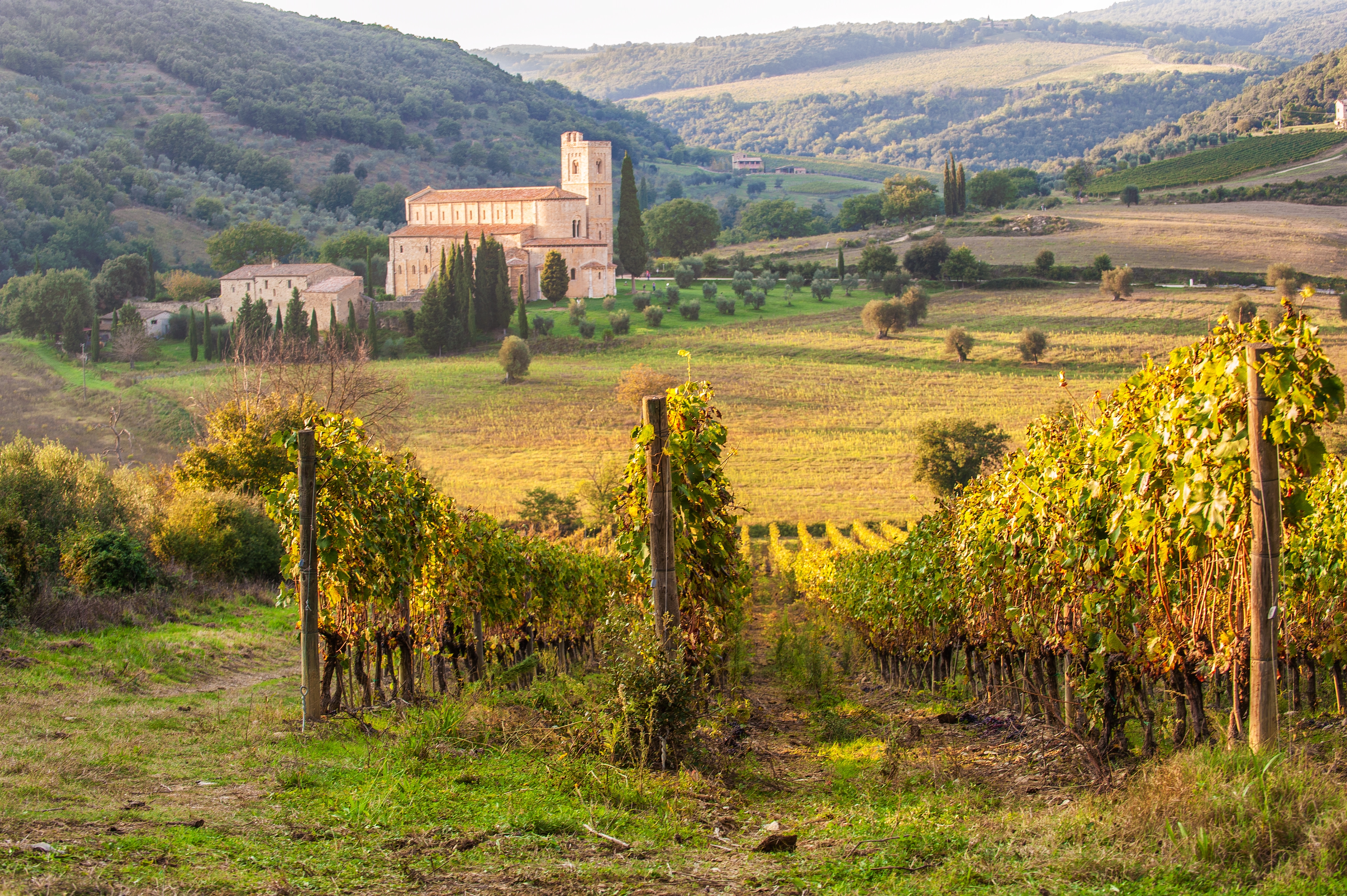 Discover the Icons of Brunello