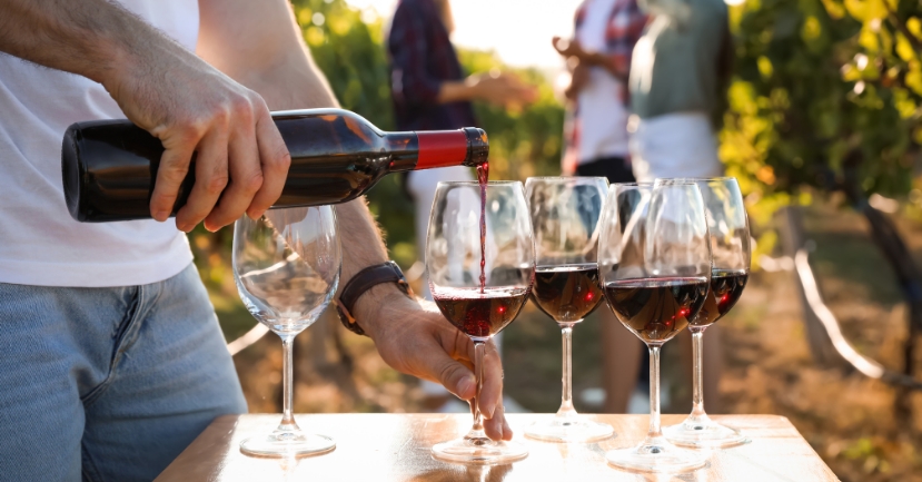 The Ten Best Italian Red Wines: A Beginner's Guide