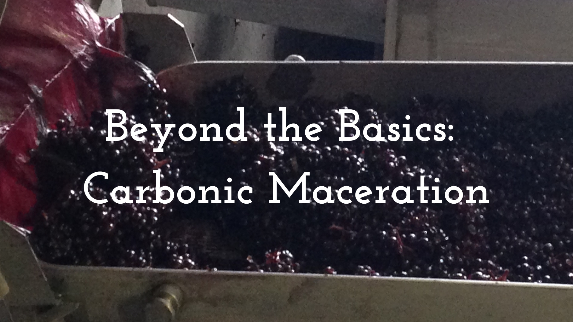 Beyond the Basics: Carbonic Maceration