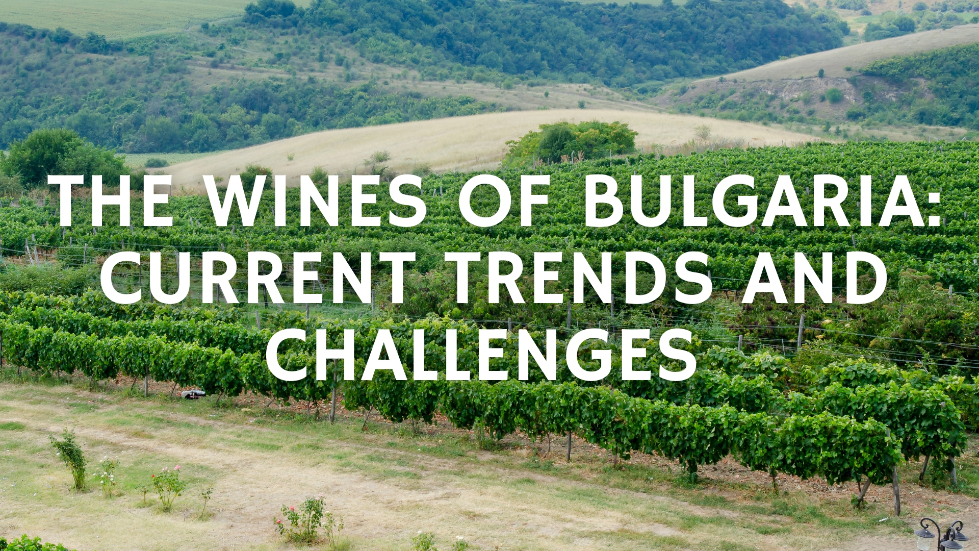 The Wines of Bulgaria: Current Trends and Challenges