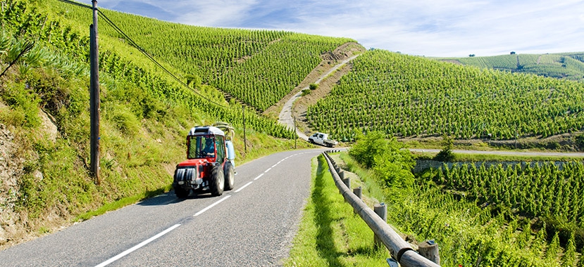 Video: The Viticultural History of the Rhône Valley