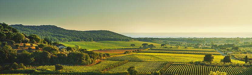 Bolgheri Tuscany