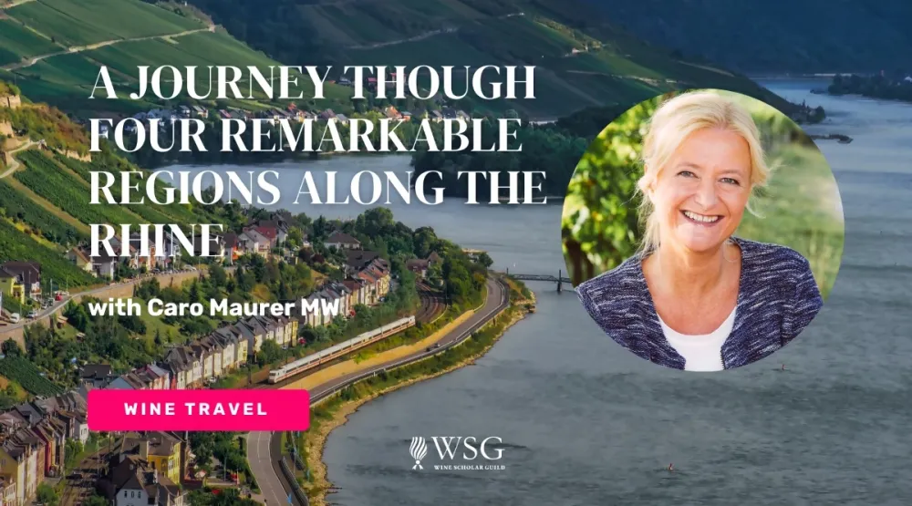 A Journey Though Four Remarkable Regions Along the Rhine