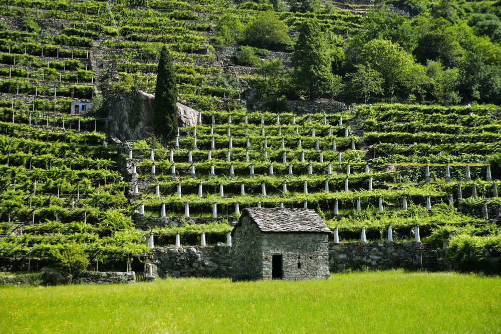 Valle d'Aosta