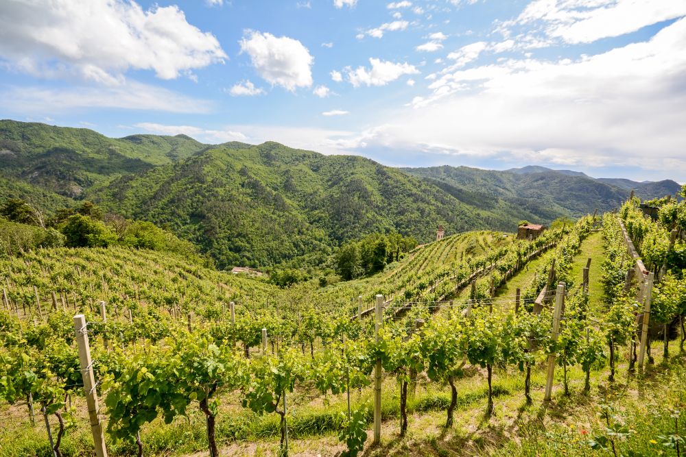 Abruzzo