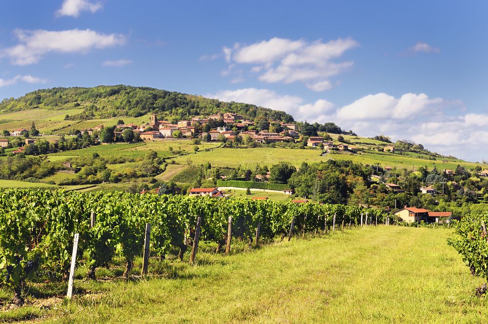 Beaujolais