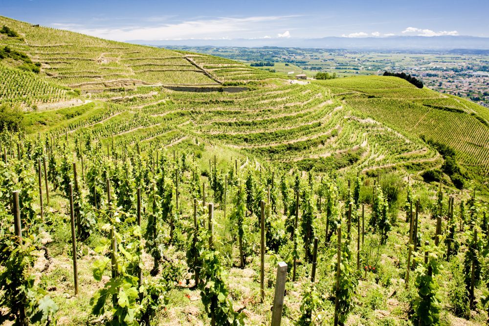 Rhône Valley