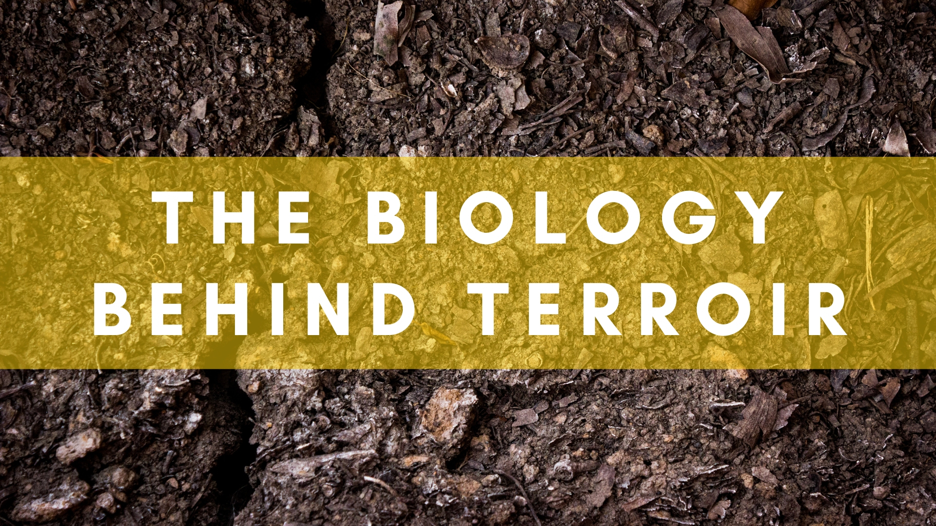 Biology behind Terroir